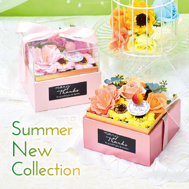 Summer New Collection